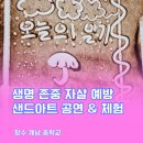 존중과 사랑의 소통처방전 | 중학교 생명 존중 자살 예방 교육 샌드아트 공연 체험