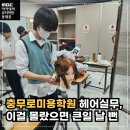 헤어실무 이미지