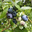 우석농장 이미지