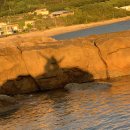 이안횟집민박 | 남해 이안민박