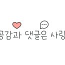 스테이 섬씽 울릉도 네이버블로그