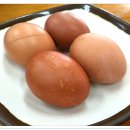 부송국수 - 진주시 월아산로 1089-8 | 부송국수