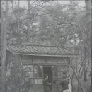 산장의 여인 Daum카페