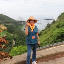 울릉도 알프스 이미지