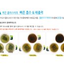 옥샘코리아