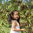 대풍농장 이미지