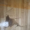 백조크린방역