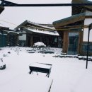 비자숲길15 이미지