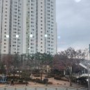 출근하고 멍때리기!!