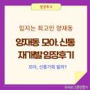 펠리스타운 | 양재동 모아타운 임장 후기, 양재2동1,2 4구역(밀란 국수)