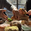 베스트애견 이미지