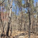 썬크루즈삼거리옆 - 좌 | 전북 부안 내변산 등산코스 후기 | 내소사 코스 관음봉 난이도, 소요시간, 블랙야크 100대명산