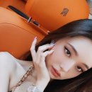 프리지아 이미지