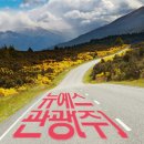 뉴예스관광(주)