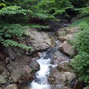 백동주유소 이미지