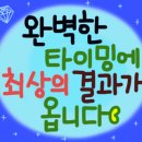 금다화갤러리 이미지
