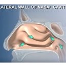 코숨한의원 이미지