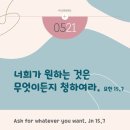 수요일 이미지