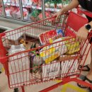 용인별바라기 이미지