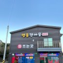 레몬트리 | [안면도 여행] 구매항 쭈꾸미 선상낚시 후기: 초보자 추천/레몬트리 펜션
