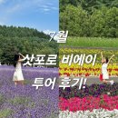 포푸리 소녀인형 방향제 | 삿포로 비에이 &#39;하루하루 투어&#39; 후기 및 회전초밥 &#39;카츠잇센&#39; 웨이팅 꿀팁!✨️ (유우리 가이드, 투어 포토...