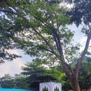 그린벨리바베큐 이미지