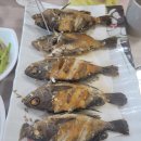 거제도맛집 송월학횟집 뽈락구이 뽈락매운탕