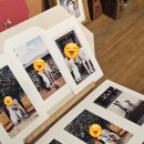 [소랑사진관] 제주 기념사진, 반려견동반 사진관 소랑사진관 N번째 방문 후기