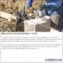 변호사이율법률사무소 이미지