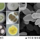 순창군미생물산업사업소 이미지