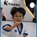 경희대 KTIGERS 태권도 이미지