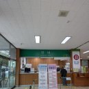 태백자동차면허시험장 | 강남운전면허시험장 방문 운전면허 갱신 후기(7년무사고 1종보통 대상자)