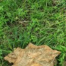 일층세탁 이미지