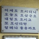 (주)제이삼 | [일상] 세계가 케데헌에 빠질 때, 나는 K대표푸드인 홍어에 빠졌다