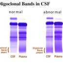 천자로-2 이미지
