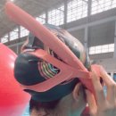 수원-0814 이미지