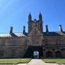 불 만난 스테이크 | [호주/시드니] 블루마운틴 별빛투어 &amp; 자유여행 마지막이야기(현지인 스테이크/ 시드니대학/ 시드니천문대)