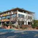 산해진미 | 중문흑돼지 제대로 즐긴 날｜33년 전통 신우성흑돼지 중문점 산해진미세트 후기