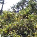 서귀포지방법원 이미지