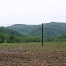 금오약국 이미지