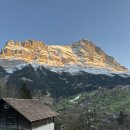 2137 | 앨리스 할머니네 - 그린델발트 샬레 강력 추천 / 2137룸 아이거북벽뷰 3박 솔직후기 및 꿀팁 (NORDWAND)