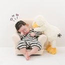 하루언니 | 강언니사진들 100일촬영 후기