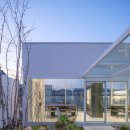 포레스트 펫 이미지