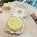 [강남구청 화이티코] 도시락케이크 내돈내산 후기