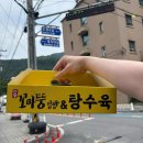 뚱분식