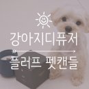 에코펫케어 | 강아지 디퓨저 펫 프렌들리 펫캔들 선물로도 추천해요