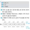 정보처리기사 필기 - 프로그래밍 언어 활용 이미지