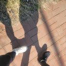 [인천 초보 등산 추천] 인천 소래산 등산 | (feat. 블랙야크 등산화 챌린저 D GTX 구매 후기)