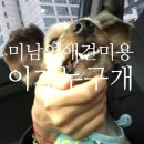이개누구개 이미지