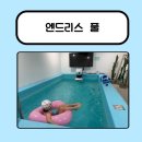 엔드리스 | 노원 엔드리스 풀 이용 후기 | 수영하고 사우나까지